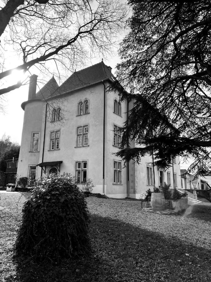 Bed&Breakfast Le Château de Morey Belleau Exterior foto